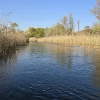 Rio Noguera Ribargozana (Alfarràs)-1