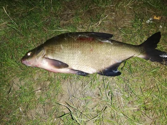 Der Placken (Kuhlenhagen)-1