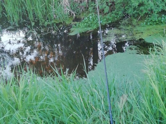 Ehle (Möckern)
