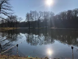 Gründelteich (Glauchau)