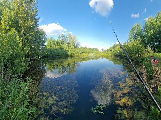 Regenabwasserbecken (Dissen am Teutoburger Wald)-2