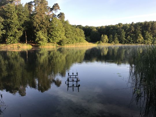 Langer See (Weisdin)-3