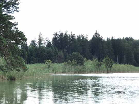 Großer Ostersee (Iffeldorf)-1