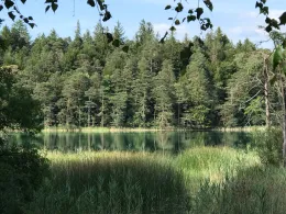 Großer Ostersee (Iffeldorf)-2