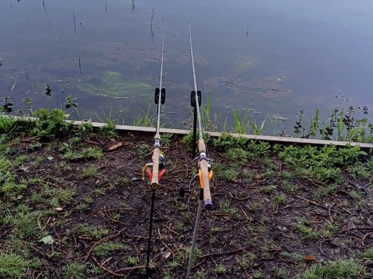 Friedrichsbad (Zwintschöna)-4