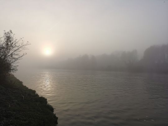 Main-Donau-Kanal (Berching)-4