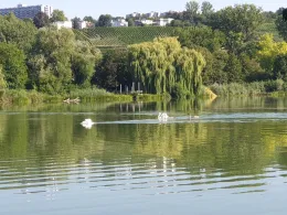 Max-Eyth-See (Stuttgart)-3