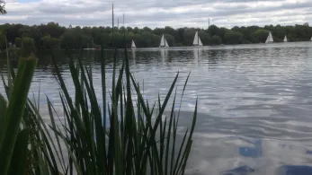 Max-Eyth-See (Stuttgart)-2