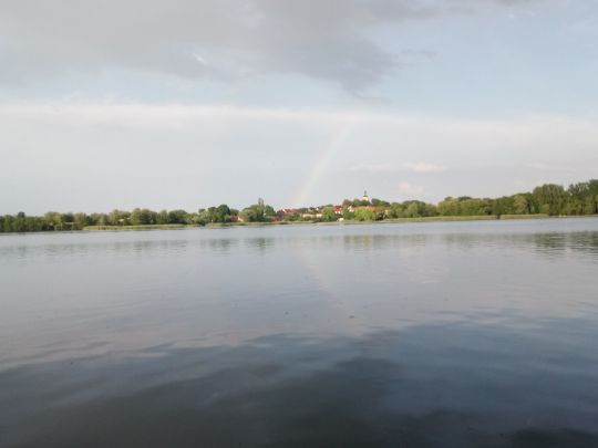 Großer See (Fürstenwerder)-3