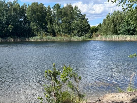 Tongrube (Abtsdorf)-1