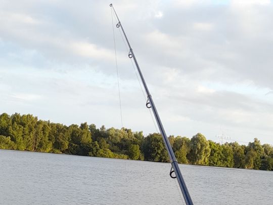 Hammaher See-1