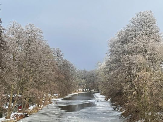 Havel (Malz-Friedrichsthal) angeln