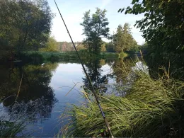 Havel (Malz-Friedrichsthal)-3