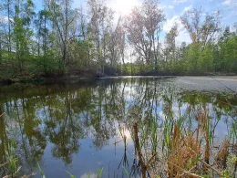 Teich Bockwen/Scharfenberg-2