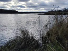 Oder (Frankfurt/Oder)-2