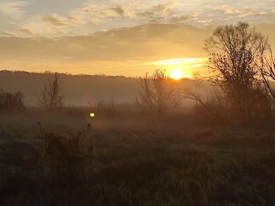 Oder (Frankfurt/Oder)-1