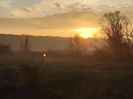 Oder (Frankfurt/Oder)-1