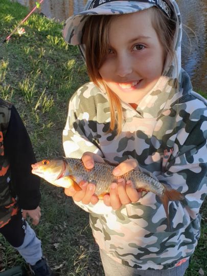 Oder (Frankfurt/Oder)-3