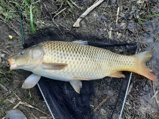 Kiesgruben Finowfurt-1