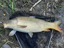 Kiesgruben Finowfurt-1