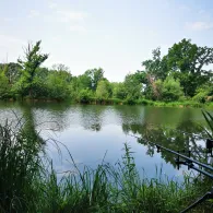 Fortunabad (3 Teiche)-2