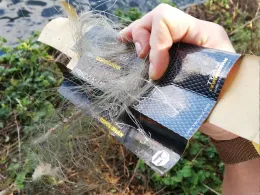 Havel (Berlin-Spandau)