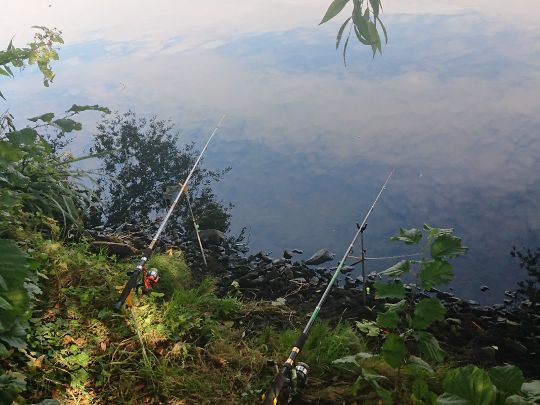 Griebnitzsee-2