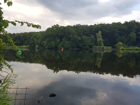 Griebnitzsee-4