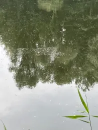 Barschgrube (Finow)-1