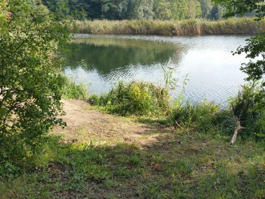 Barschgrube (Finow)-4