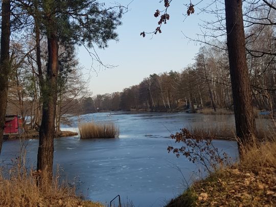 Barschgrube (Finow)-3