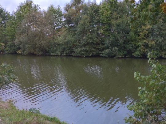 Poggensee (Löhne)-3