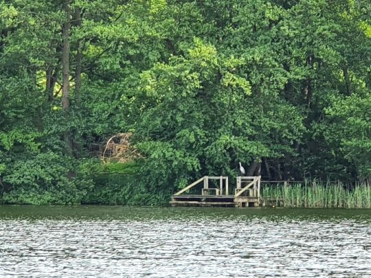 Bibersee (Dinniser See)-2