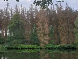 Zwickauer Mulde (Penig)-2