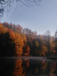 Zwickauer Mulde (Penig)-1