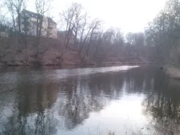 Zwickauer Mulde (Penig)-4