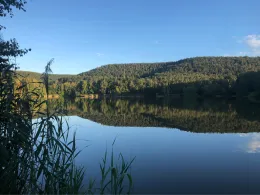 Silbersee (Landstuhl)-4
