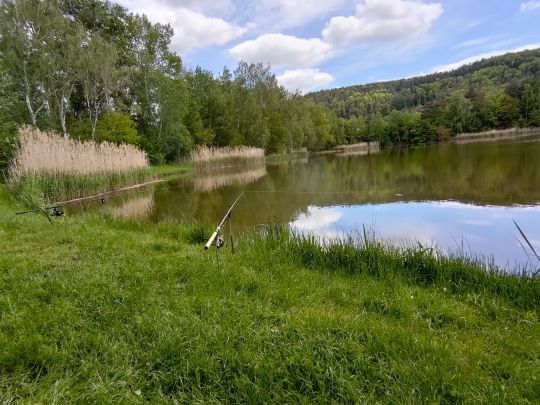 Silbersee (Landstuhl)-1