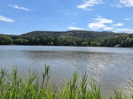 Silbersee (Landstuhl)-2