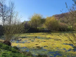 Tiroler Seen (Schleierhofer Seen)