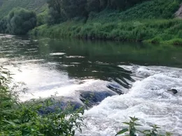 Enz (Bietigheim-Bissingen)