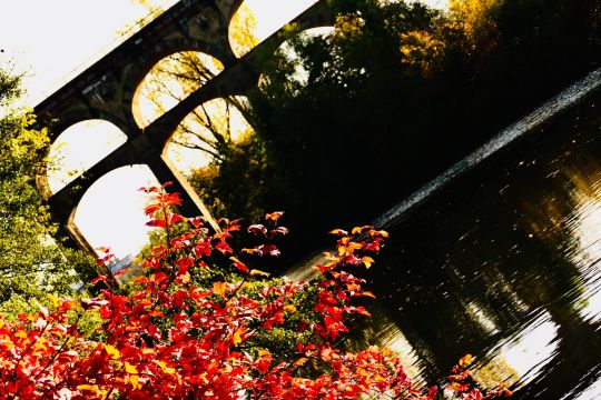 Enz (Bietigheim-Bissingen)-4