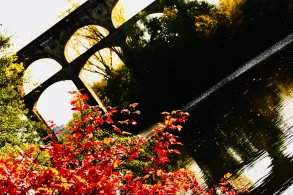 Enz (Bietigheim-Bissingen)-4