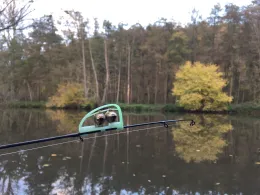 Enz (Bietigheim-Bissingen)-1