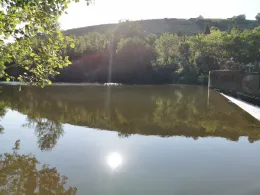 Enz (Bietigheim-Bissingen)-3