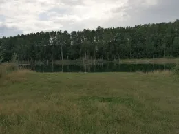 Kaolintagebau (Querbitzsch)