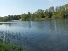 Freudenholm See-1