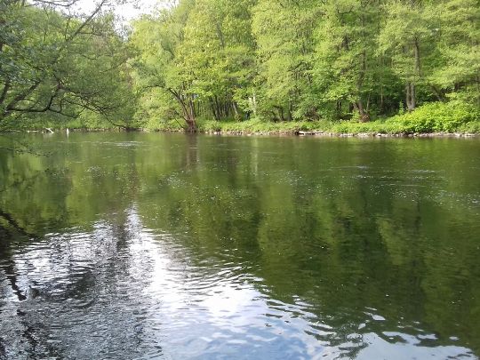 Lenne (Iserlohn)