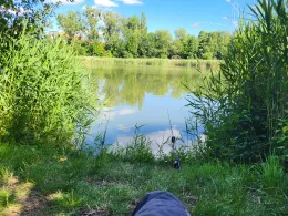 Dornbergsteich (Wernigerode)