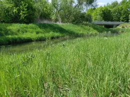 Schwarzer Schöps (Jänkendorf)